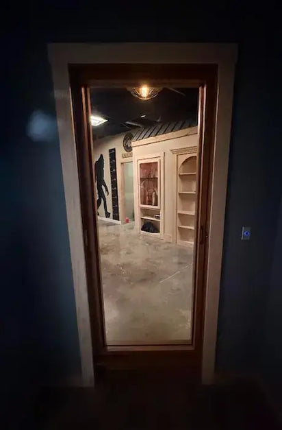 Alpha See Through Mirror Door