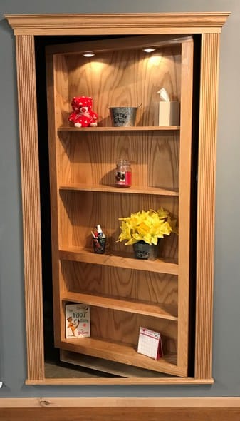Alpha concealment hidden bookcase door